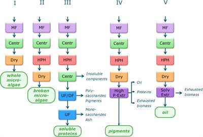 Design of Value Chains for Microalgal Biorefinery at Industrial Scale: Process Integration and Techno-Economic Analysis